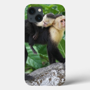 Erwachsener Capuchin-Affe-tragendes Baby auf Case-Mate iPhone Hülle