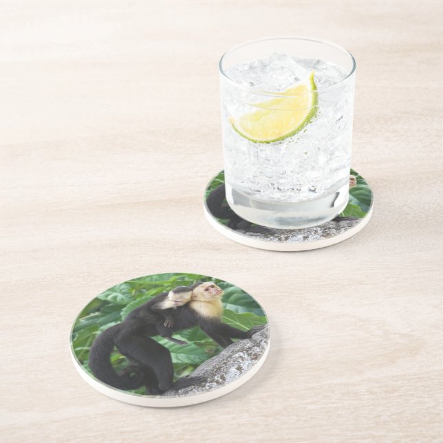 Erwachsener Capuchin-Affe-tragendes Baby auf Sandstein Untersetzer (Seite)