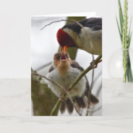 Erwachsener, der Jugendlicher Gelb-berechneten Karte