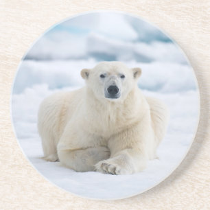 Erwachsener Eisbär auf dem sommerlichen Packeis Getränkeuntersetzer