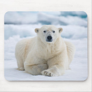 Erwachsener Eisbär auf dem sommerlichen Packeis Mousepad
