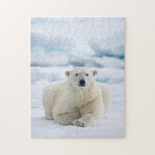 Erwachsener Eisbär auf dem sommerlichen Packeis Puzzle