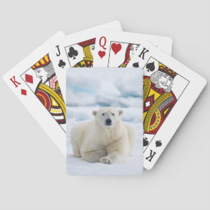 Erwachsener Eisbär auf dem sommerlichen Packeis Spielkarten