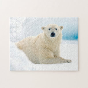 Erwachsener Eisbär großes männliches Tier auf dem Puzzle