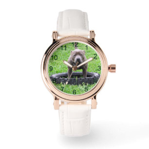 Erwachsener Male Staffordshire Terrier ready to pl Armbanduhr