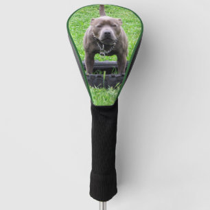 Erwachsener männlicher Staffordshire-Terrier berei Golf Headcover