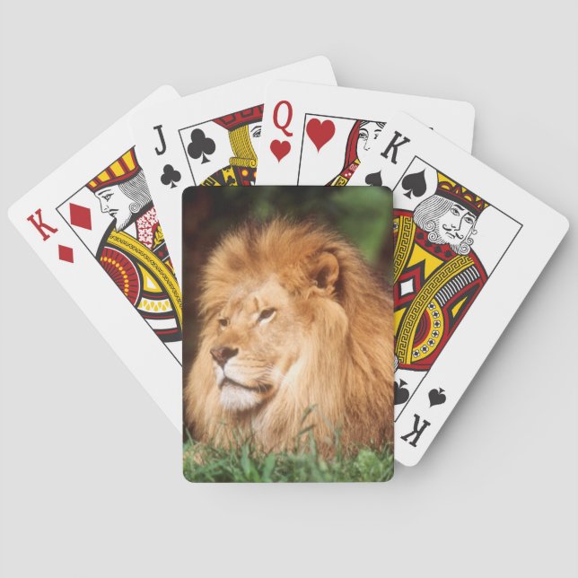 Erwachsener Mannlöwe Spielkarten (Rückseite)