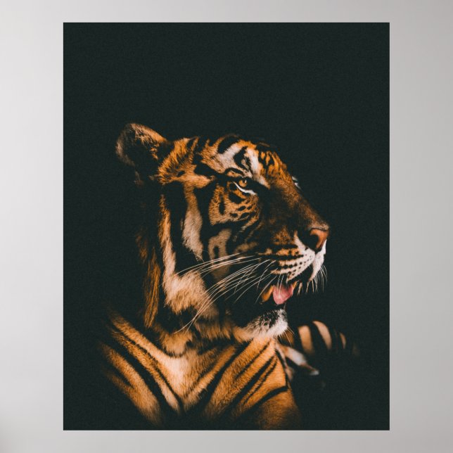 ERWACHSENER PRONE LYSIDE INNENDIM LIGHTED ZIMMER POSTER (Vorne)