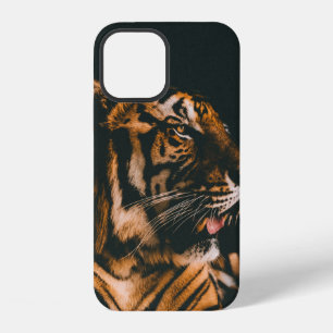 ERWACHSENER TIGER LIEGT INNERHALB EINES DÜSTER BEL iPhone 12 HÜLLE