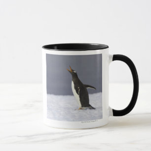 Erwachsener Vogel Gentoo Pinguins (Pygoscelis Tasse