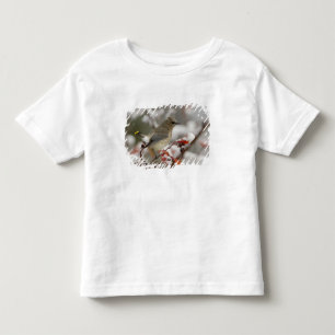 Erwachsener Zedernseidenschwanz auf Weißdorn mit S Kleinkind T-shirt