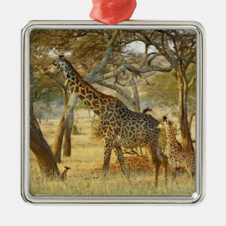 Erwachsenes Giraffenweibchen und Jungtier, Giraffa Silbernes Ornament
