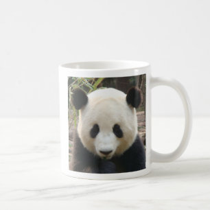 Erwägen des Pandas Tasse