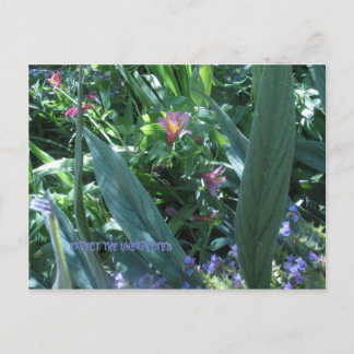 erwarten, dass postkarte