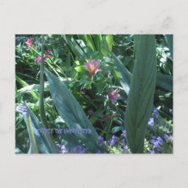 erwarten, dass postkarte