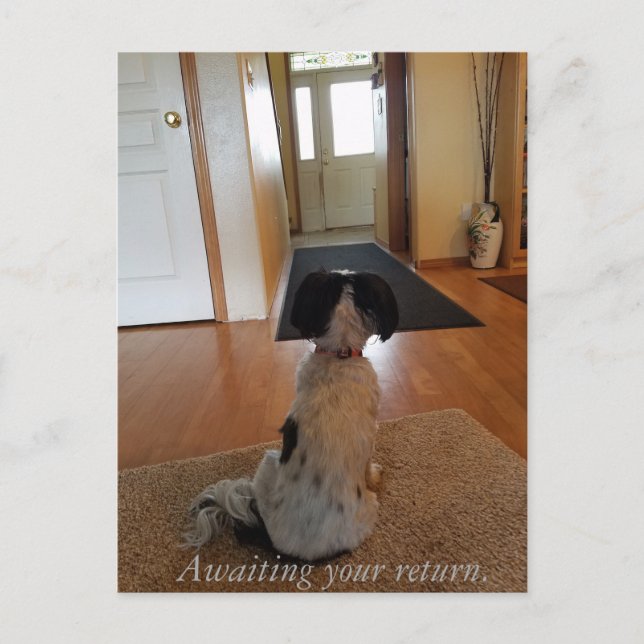 Erwartung der Rückkehr Postkarte (Vorderseite)