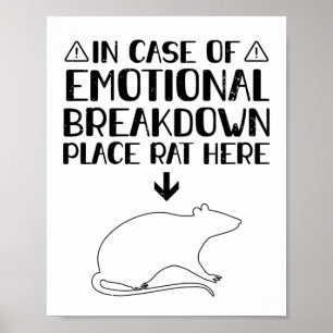 Erwartung   Rats Haustiere Geschenke Poster