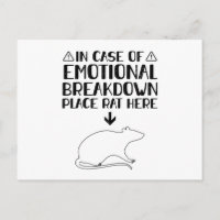 Erwartung | Rats Haustiere Geschenke