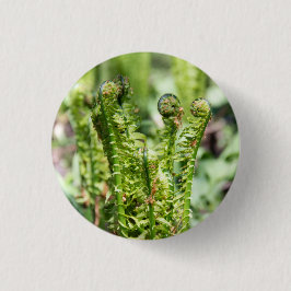 Erwecken des jungen Farns im Garten Button