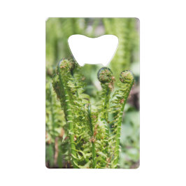 Erwecken des jungen Farns im Garten Geldbeutel Flaschenöffner