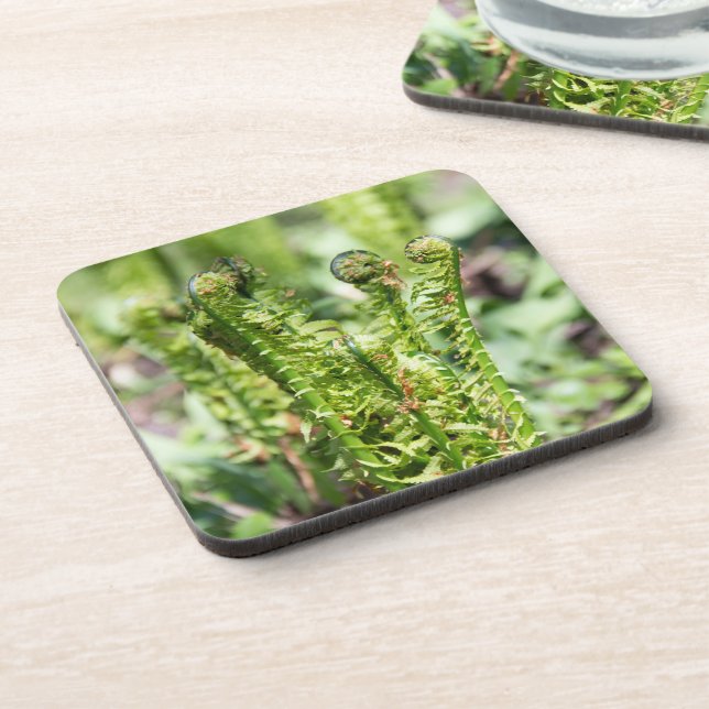 Erwecken des jungen Farns im Garten Getränkeuntersetzer (Linke Seite)