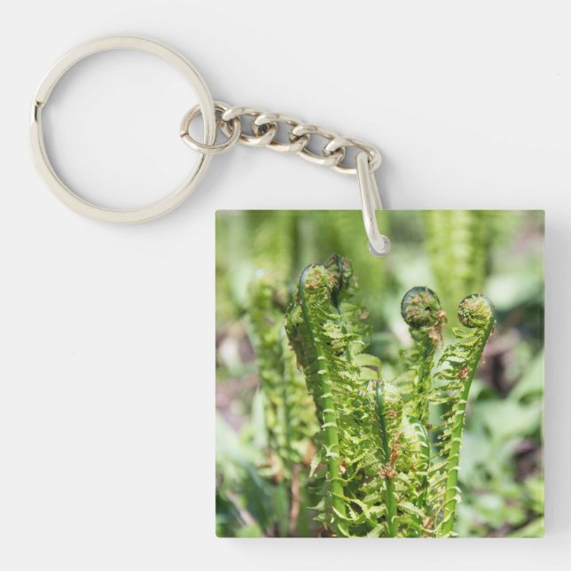 Erwecken des jungen Farns im Garten Schlüsselanhänger (Vorderseite)