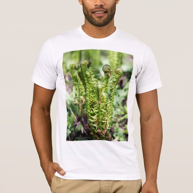 Erwecken des jungen Farns im Garten T-Shirt (Vorderseite)