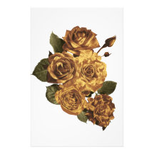 Erweiterung des Fotos, Erweiterung eines Fotos,