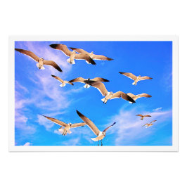 Erweiterung des Fotos Fotodruck