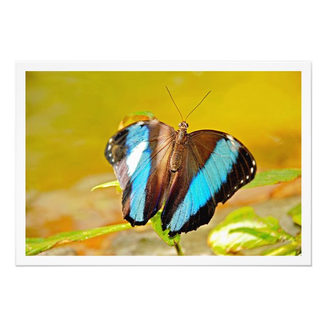 Erweiterung des Fotos Fotodruck (Vorne)