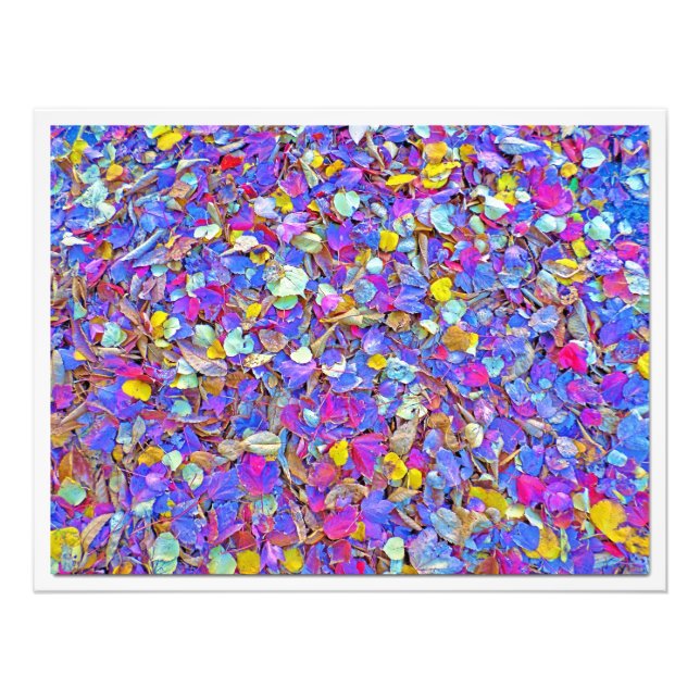 Erweiterung des Fotos Fotodruck (Vorne)