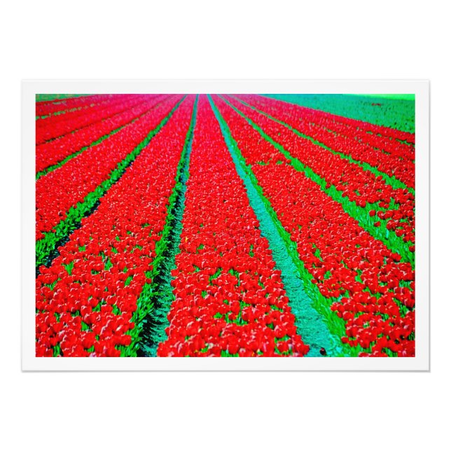 Erweiterung des Fotos Fotodruck (Vorne)