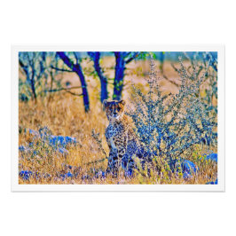 Erweiterung des Fotos Fotodruck