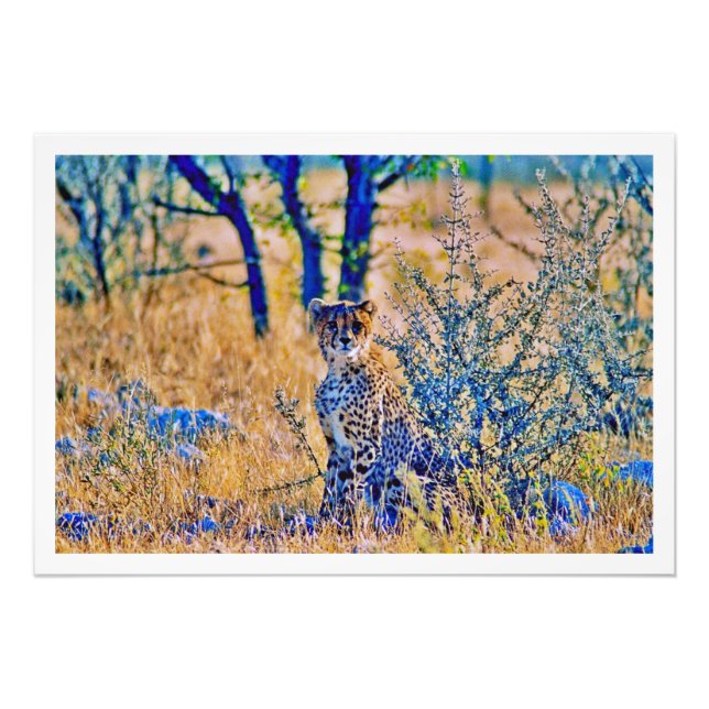 Erweiterung des Fotos Fotodruck (Vorne)