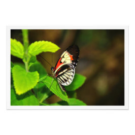 Erweiterung des Fotos Fotodruck