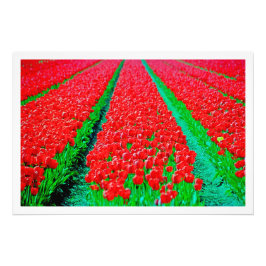 Erweiterung des Fotos Fotodruck