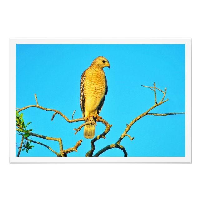 Erweiterung des Fotos Fotodruck (Vorne)