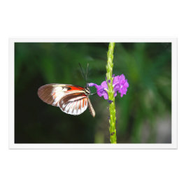 Erweiterung des Fotos Fotodruck