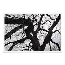 Erweiterung des Fotos Fotodruck