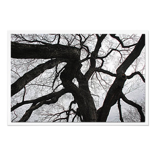 Erweiterung des Fotos Fotodruck (Vorne)