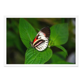 Erweiterung des Fotos Fotodruck