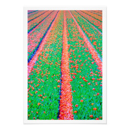 Erweiterung des Fotos Fotodruck