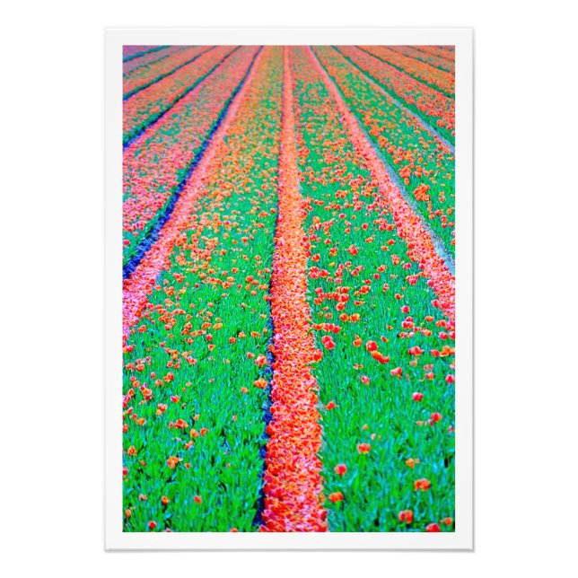 Erweiterung des Fotos Fotodruck (Vorne)