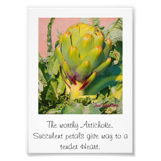 Erweiterung des Fotos Fotodruck (Vorne)