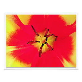 Erweiterung des Fotos Fotodruck