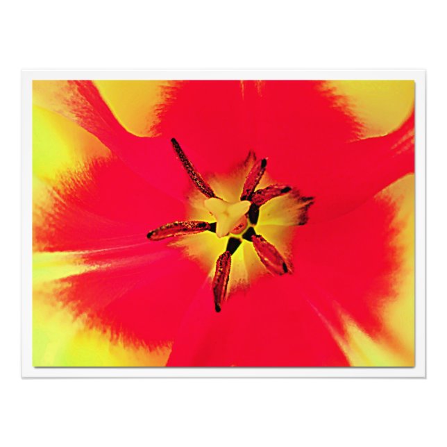 Erweiterung des Fotos Fotodruck (Vorne)