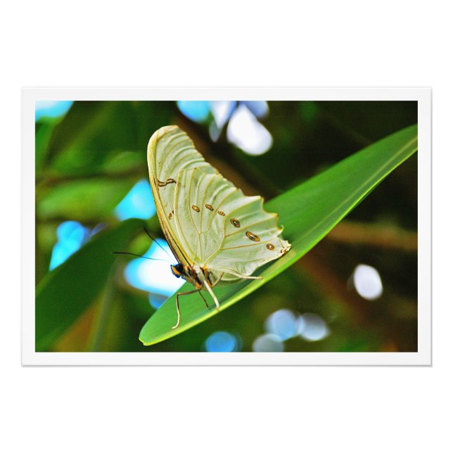 Erweiterung des Fotos Fotodruck (Vorne)