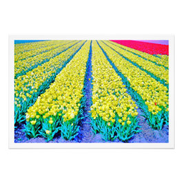 Erweiterung des Fotos Fotodruck