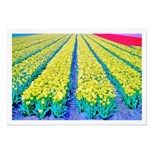 Erweiterung des Fotos Fotodruck (Vorne)