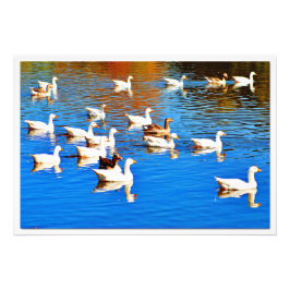 Erweiterung des Fotos Fotodruck